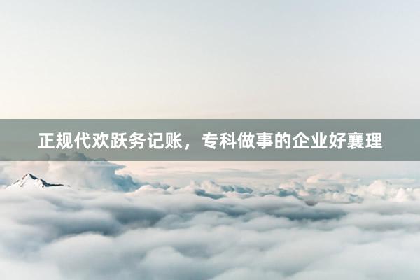 正规代欢跃务记账，专科做事的企业好襄理