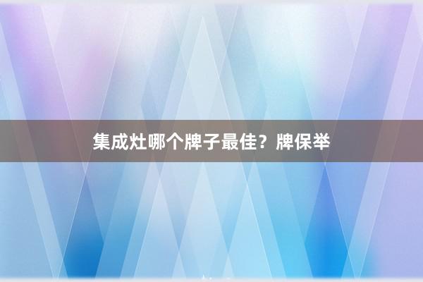 集成灶哪个牌子最佳？牌保举